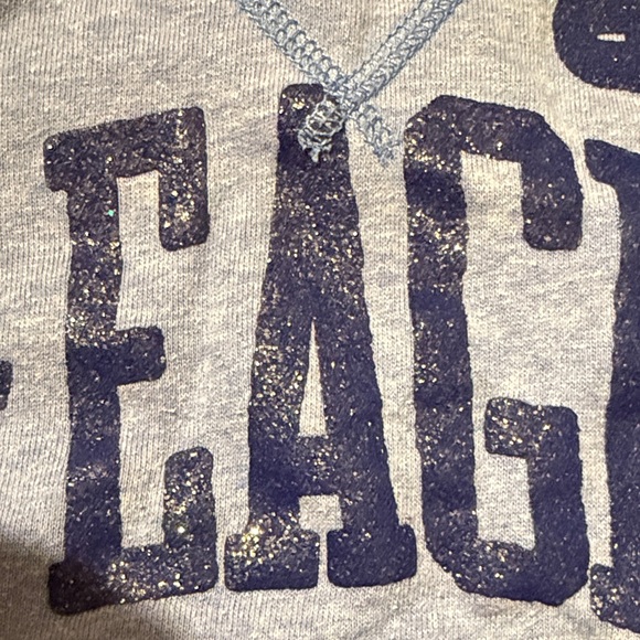 American Eagle Outfitters Blue Sweatshirt - Picture 3 of 3